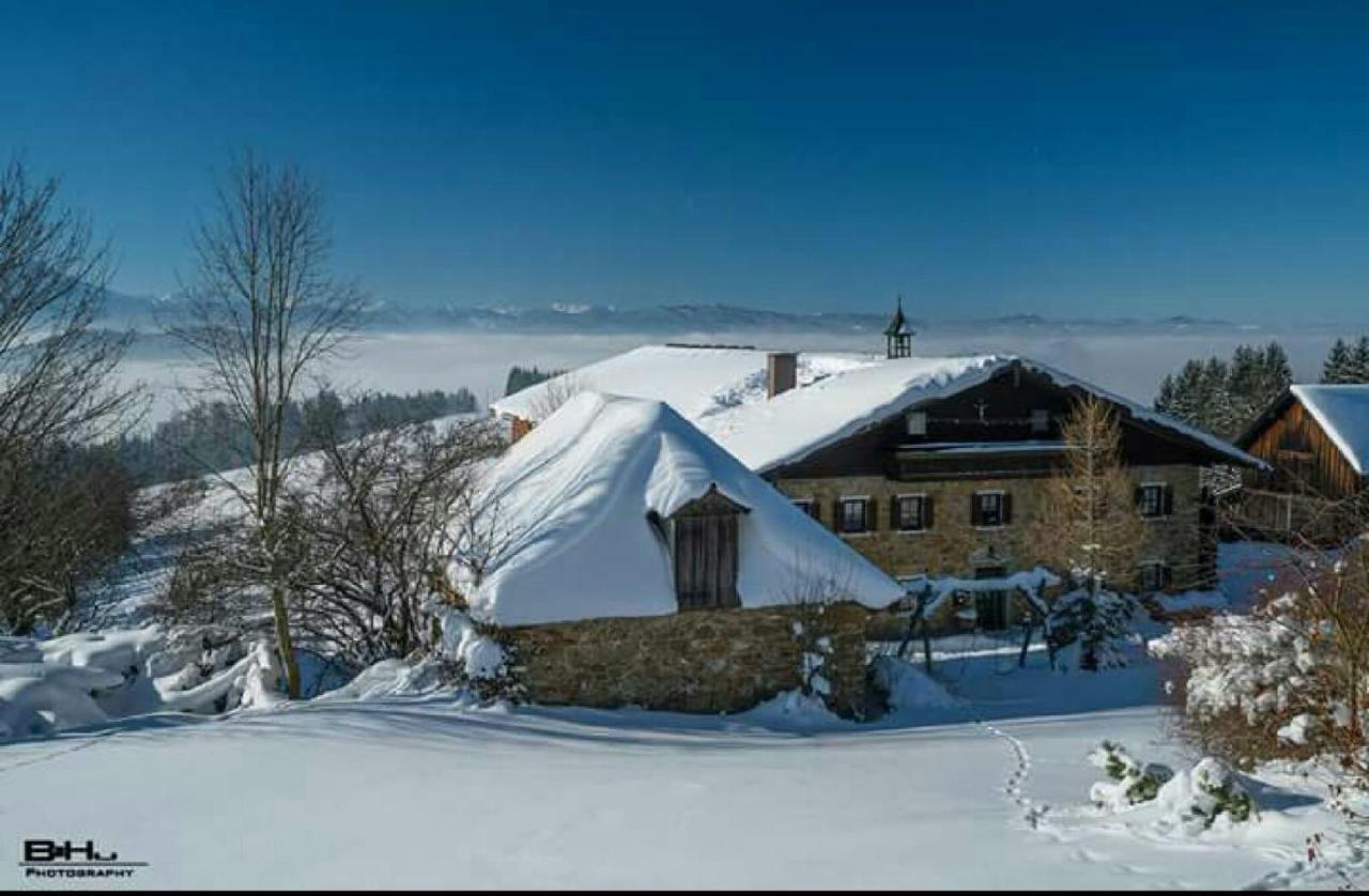Villa Bauernhof Moadl à Weyregg Extérieur photo
