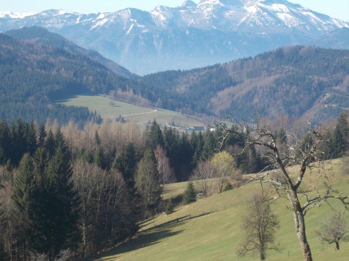 Villa Bauernhof Moadl à Weyregg Extérieur photo